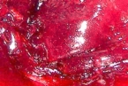 sl11-red